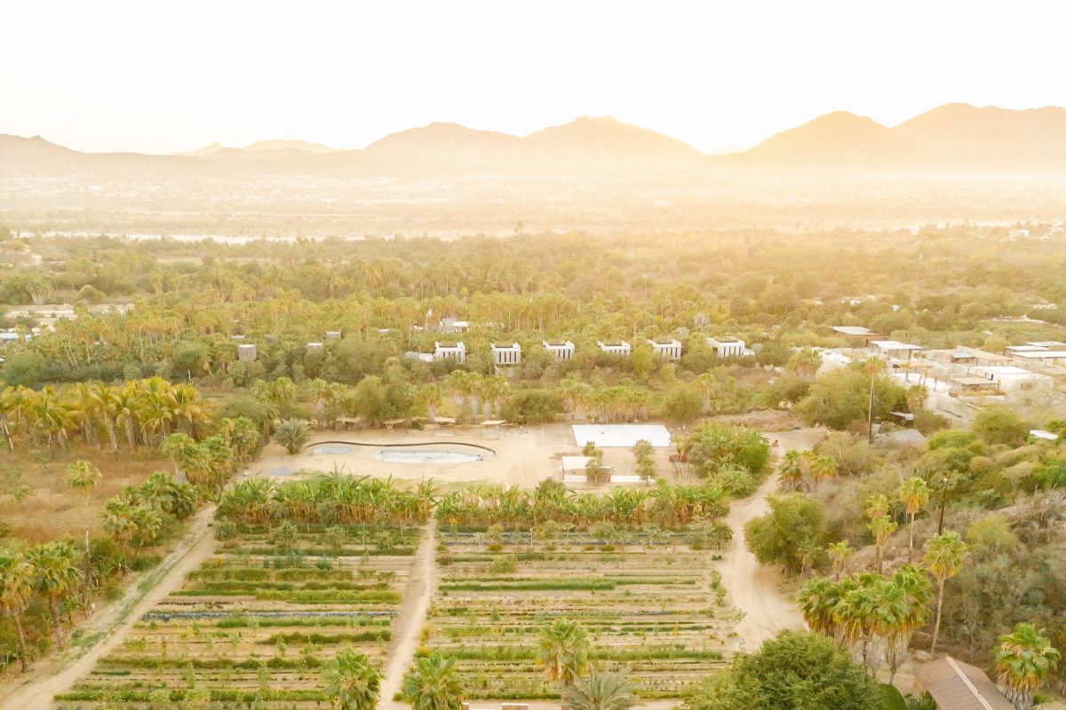 Flora Farms.jpg